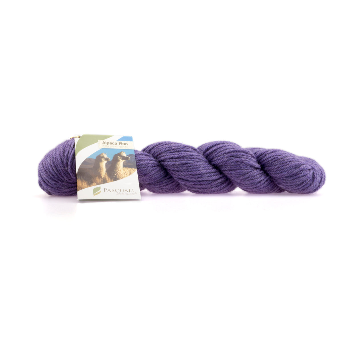 ALPACA FINO von PASCUALI