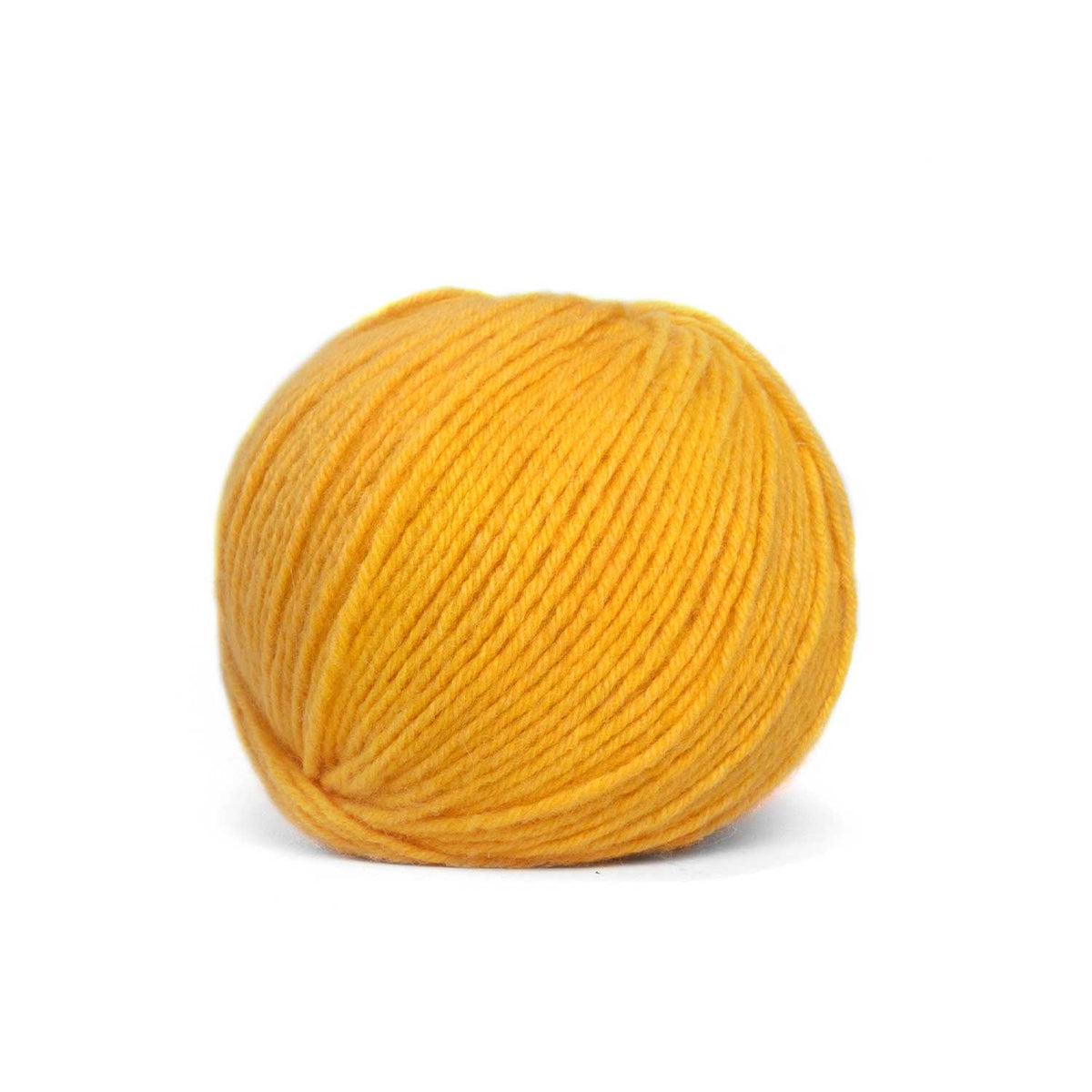 CASHMERE CHARIS von PASCUALI