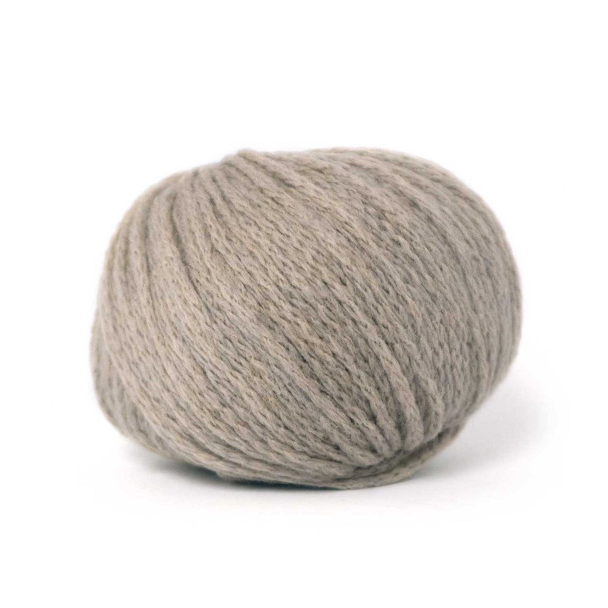 CAMEL DK von PASCUALI