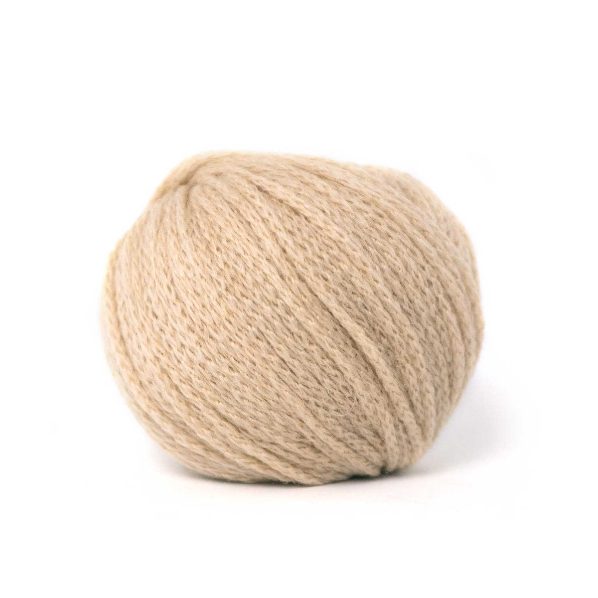 CAMEL DK von PASCUALI